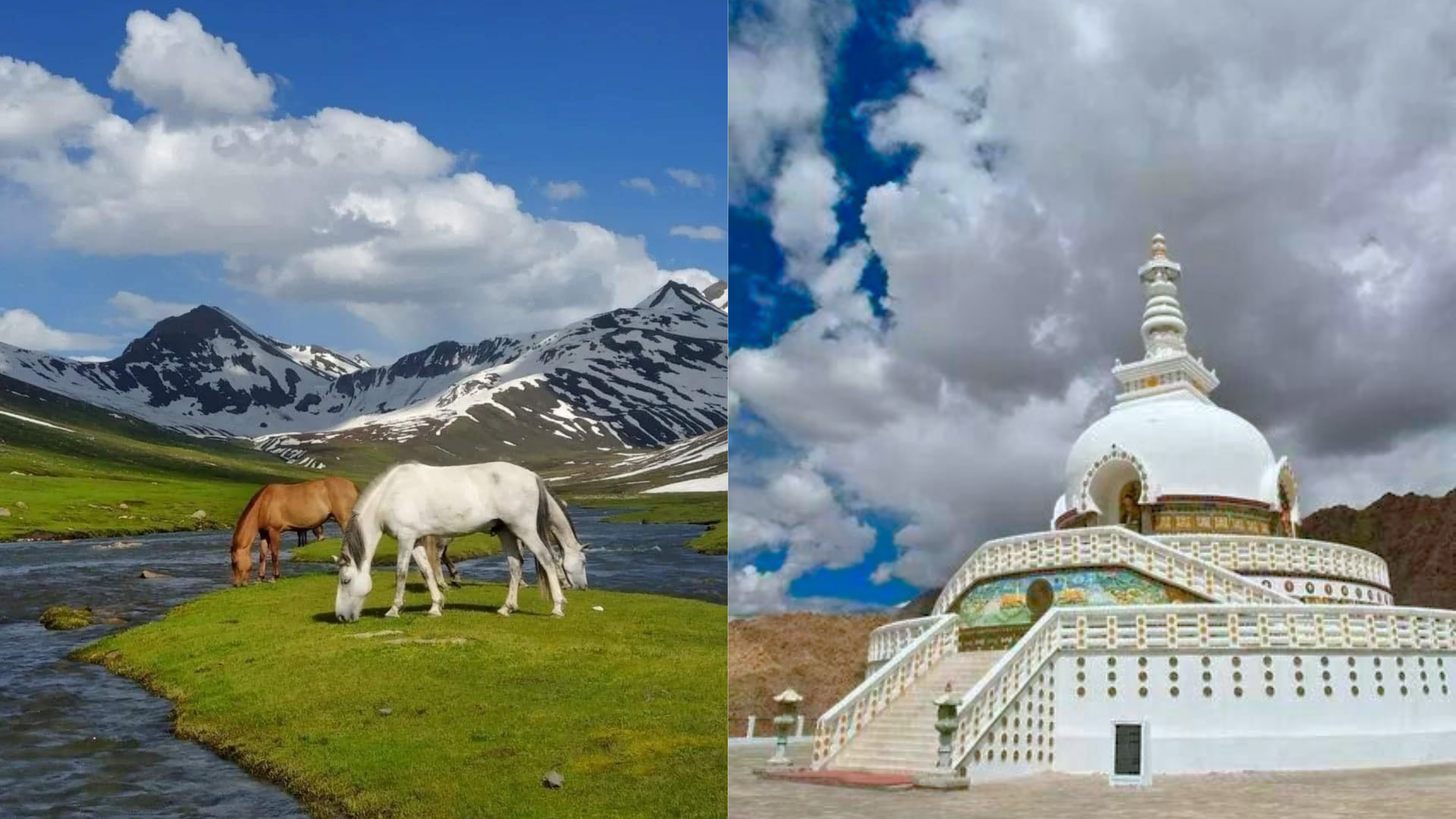 10N/11D Ladakh Kashmir Combo